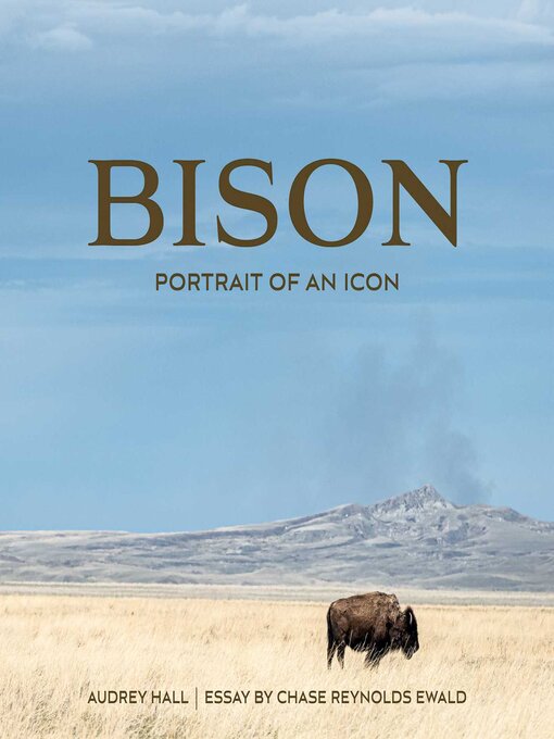 Title details for Bison by Audrey Hall - Available